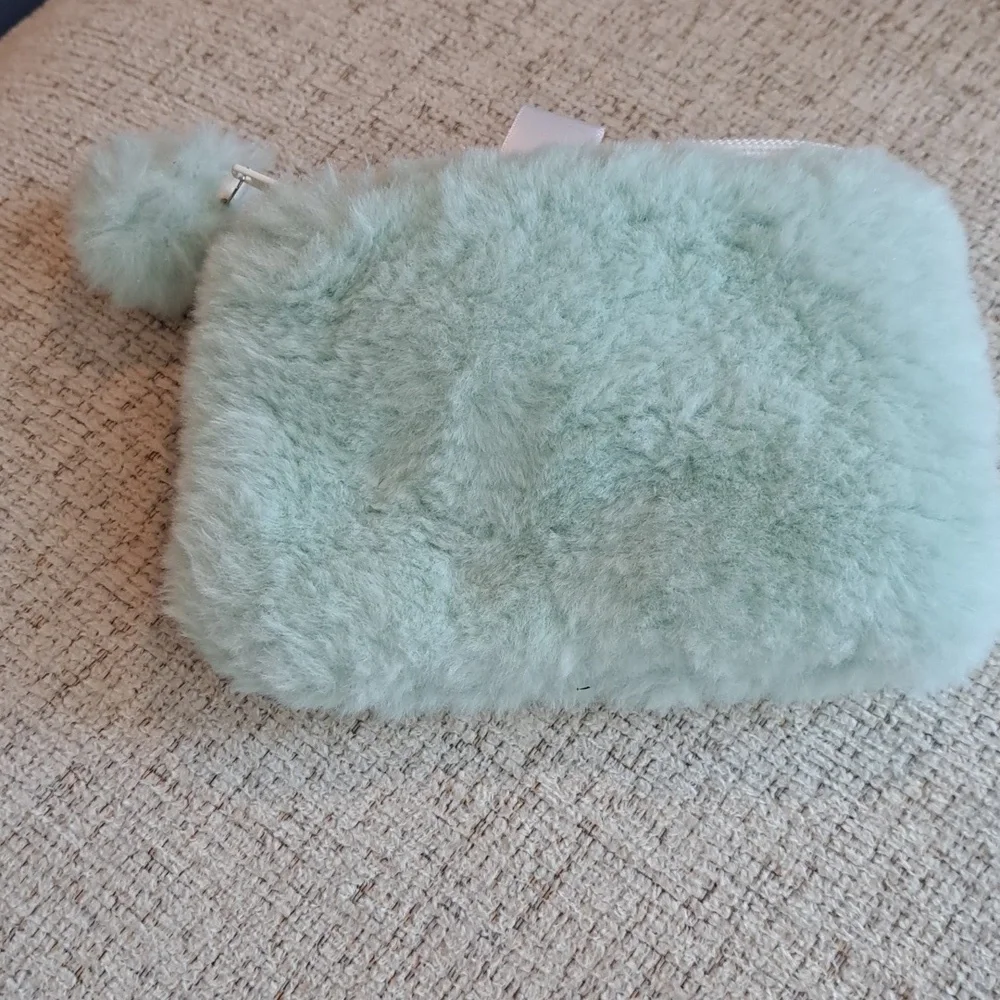 PB Pottery Barn Teen Cozy Lux Faux Fur Mint Cat Beauty Pouche Small Bag